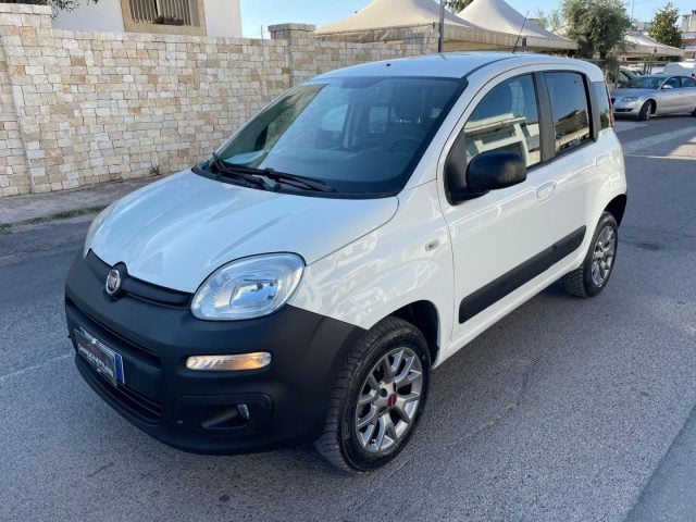 Fiat Panda 1.3 MJT 4x4 Pop Van 2 posti, del 2018, 144.859 km, in vendita a Maruggio (TA)