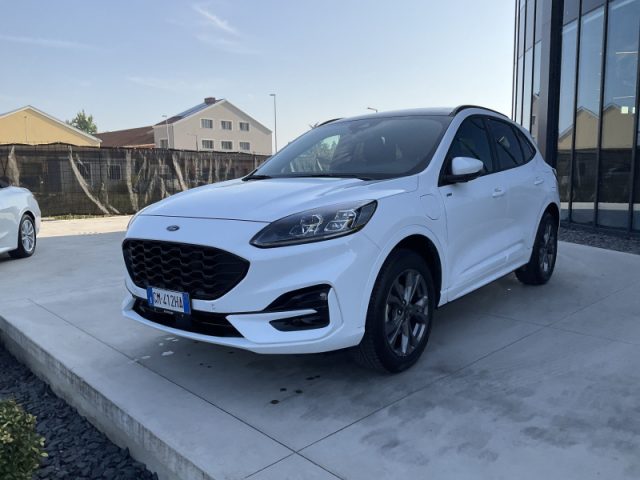 Ford Kuga 2.5 Plug In Hybrid 225 CV CVT 2WD ST-Line X - foto 3 di 4