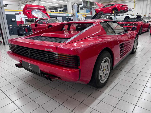 Ferrari Testarossa cat - foto 4 di 4