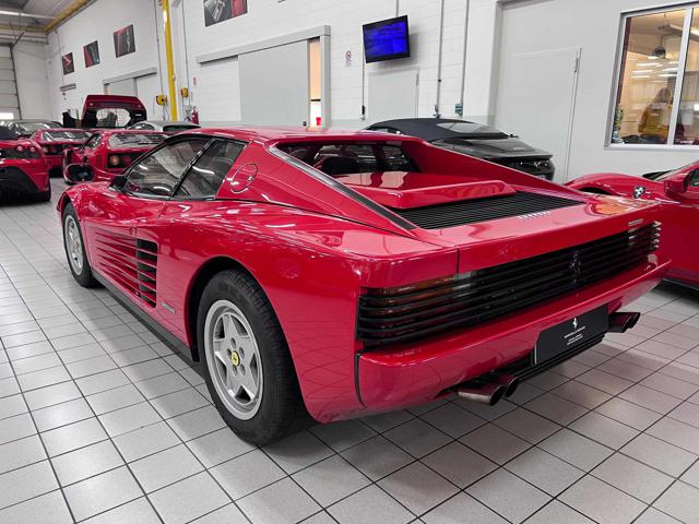 Ferrari Testarossa cat - foto 3 di 4