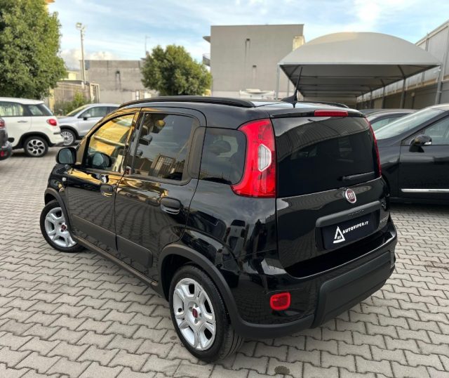 Fiat Panda 1.0 FireFly S&S Hybrid City Cross - foto 4 di 4