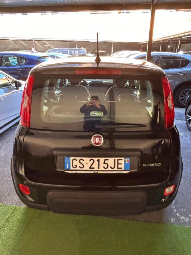 Fiat Panda 1.0 FireFly S&S Hybrid usato a AFRAGOLA