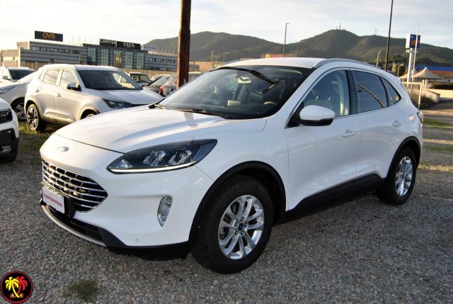 Ford Kuga 1.5 EcoBlue 120 CV 2WD Titanium usato a OLBIA
