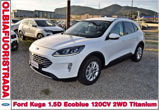Ford Kuga 1.5 EcoBlue 120 CV 2WD Titanium usato a OLBIA
