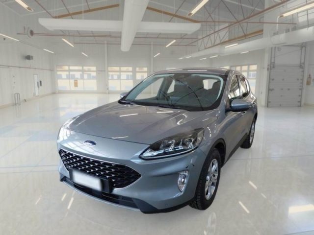 Ford Kuga 1.5 EcoBlue 120 CV aut. 2WD Connect usato a NAPOLI