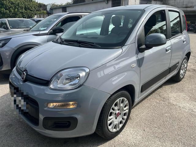 Fiat Panda 1.0 FireFly S&S Hybrid 70cv usato a NAPOLI