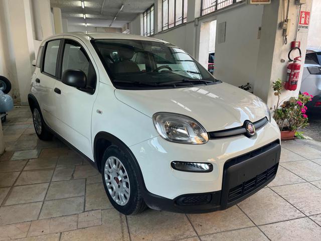 Fiat Panda City Life 1.0 FireFly S&S Hybrid 70cv usato a NAPOLI