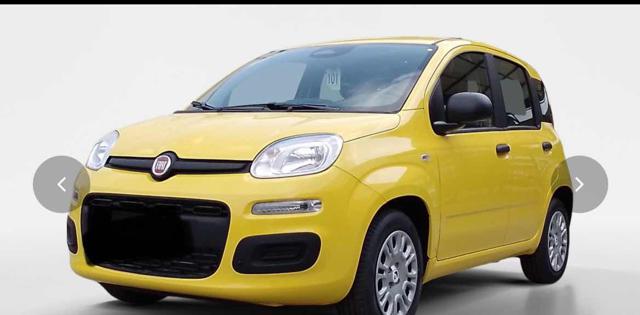 Fiat Panda 1.0 FireFly S&S Hybrid - foto 3 di 4
