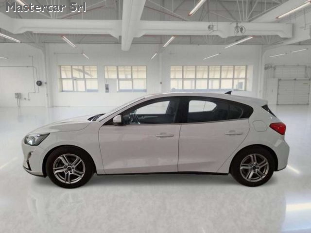 Ford Focus Focus V 2018 1.5 ecoblue Business Co-pilot s - GF8 - foto 3 di 4