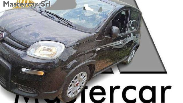 Fiat Panda Panda NEOPATENTATI 1.0 firefly hybrid TG : GR830ME usato a BASILIANO