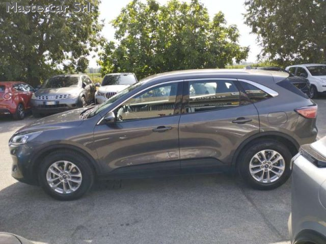 Ford Kuga Kuga 1.5 ecoblue Titanium Business 2wd 120cv auto - foto 3 di 12
