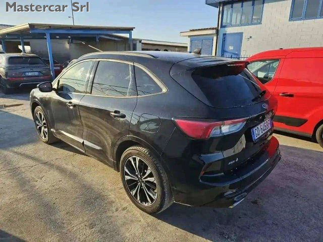 Ford Kuga Kuga 2.0 ecoblue ST-Line X awd 190cv auto-GD646BF - foto 3 di 14