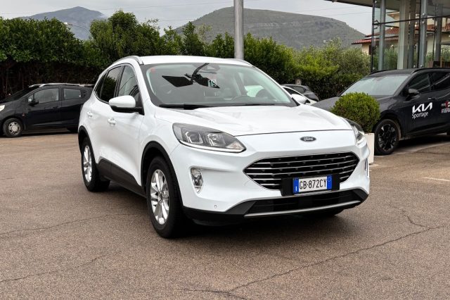 Ford Kuga 1.5 EcoBlue 120 CV 2WD Titanium Business usato a FONDI