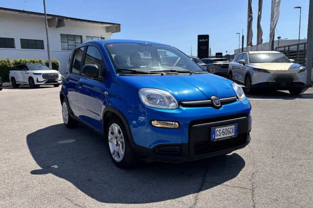 Fiat Panda 1.0 FireFly S&S Hybrid usato a FONDI