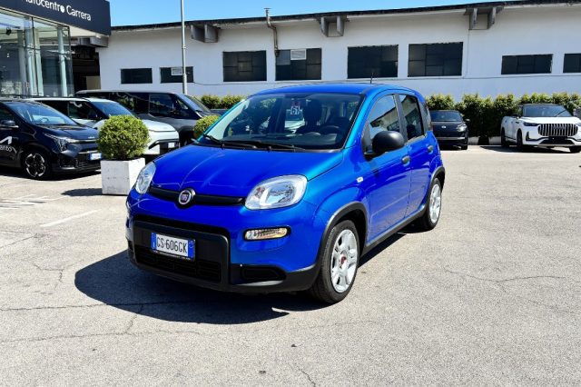 Fiat Panda 1.0 FireFly S&S Hybrid - foto 3 di 4