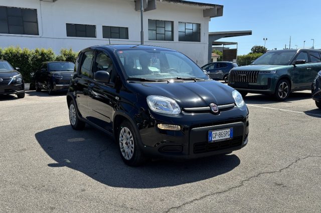 Fiat Panda 1.0 FireFly S&S Hybrid usato a FONDI