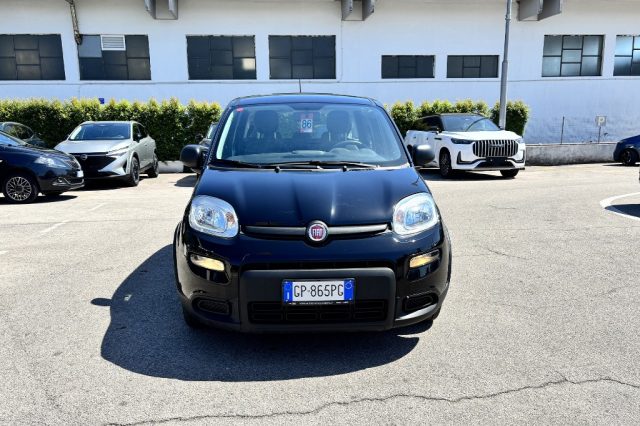 Fiat Panda 1.0 FireFly S&S Hybrid - foto 2 di 4