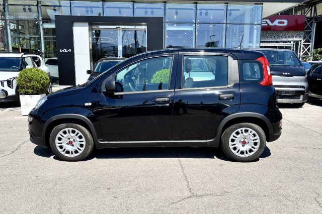 Fiat Panda 1.0 FireFly S&S Hybrid - foto 4 di 4