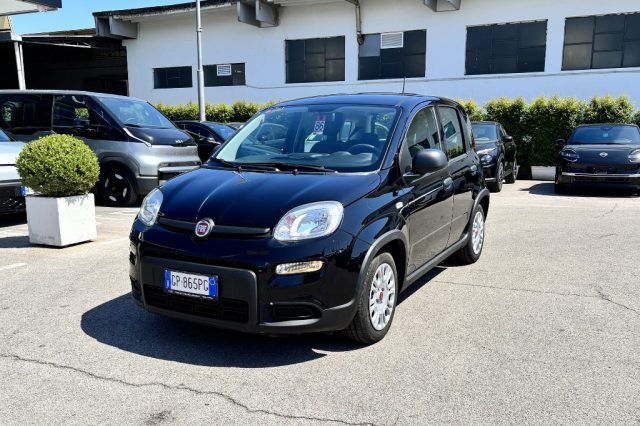 Fiat Panda 1.0 FireFly S&S Hybrid - foto 3 di 4