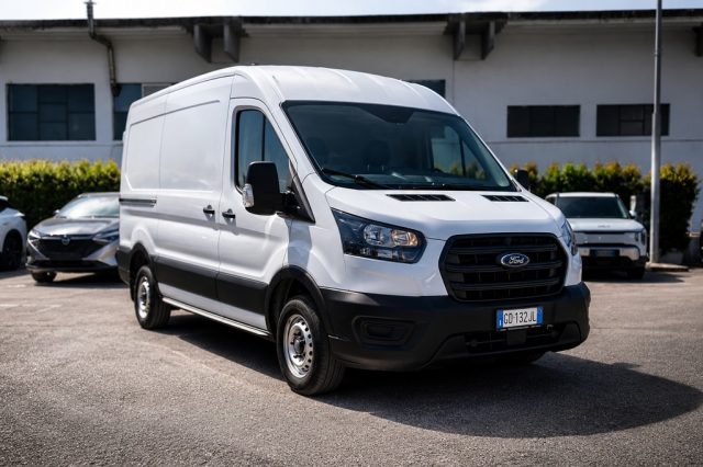 Ford Transit 290 2.0TDCi EcoBlue 130CV PM-TM Furgone Trend usato a FONDI