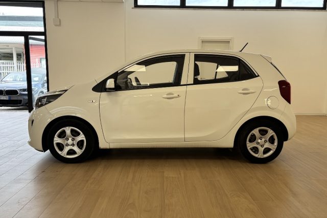 Kia Picanto 1.0 12V GPL 5 porte Urban ( AZIENDALE ) - foto 4 di 4