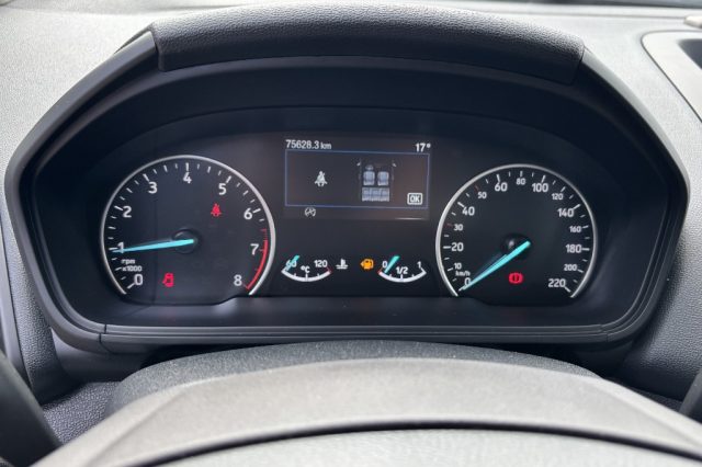 Ford EcoSport 1.0 EcoBoost 125 CV Start&Stop ST-Line usato a FONDI