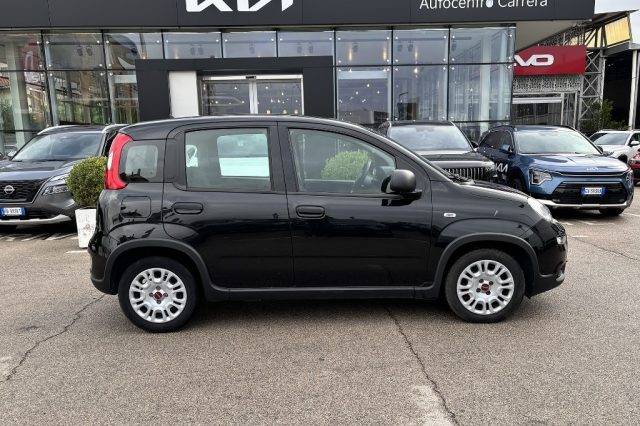 Fiat Panda 1.0 FireFly S&S Hybrid - foto 4 di 4