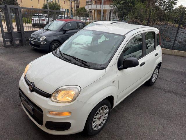 Fiat Panda 1.2 Easy usato a BENEVENTO