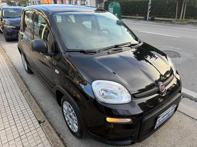 Fiat Panda 1.0 FireFly S&S Hybrid usato a PIEVE A NIEVOLE