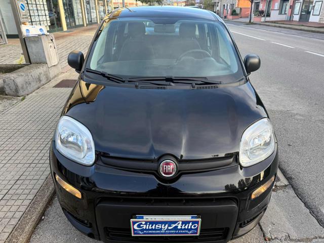 Fiat Panda 1.0 FireFly S&S Hybrid - foto 3 di 4