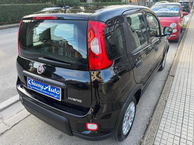 Fiat Panda 1.0 FireFly S&S Hybrid - foto 4 di 4
