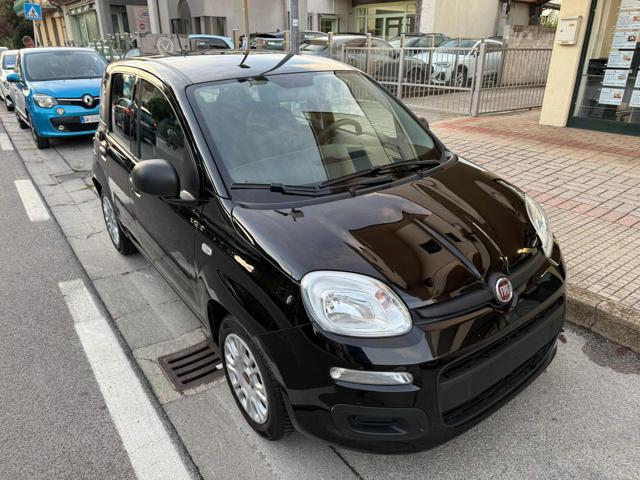 Fiat Panda 1.0 FireFly S&S Hybrid usato a PIEVE A NIEVOLE