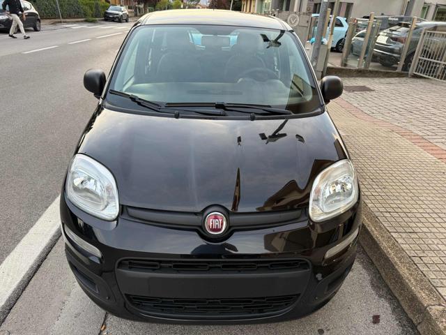 Fiat Panda 1.0 FireFly S&S Hybrid - foto 3 di 4