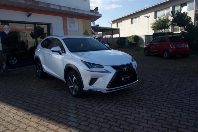 Lexus NX 300 Hybrid 4WD Luxury - foto 2 di 4