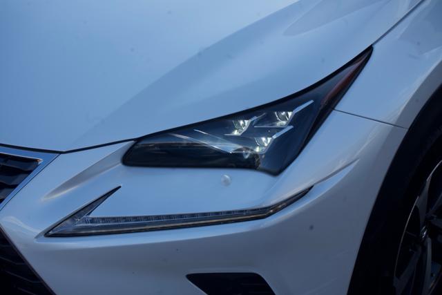 Lexus NX 300 Hybrid 4WD Luxury - foto 3 di 4