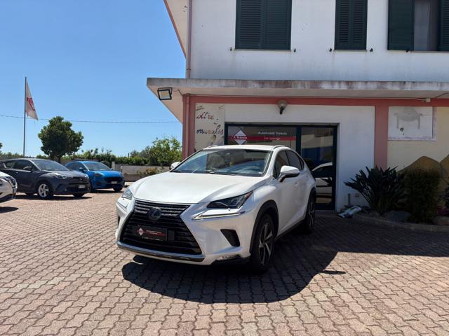 Lexus NX 300 Hybrid 4WD Luxury usato a SAN SPERATE