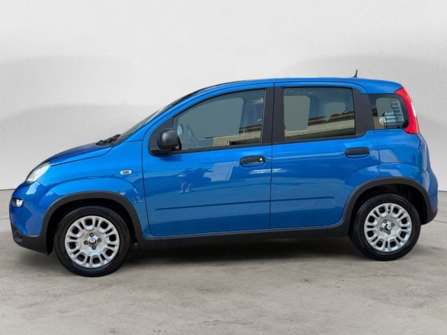 Fiat Panda 1.0 FireFly S&S Hybrid Pandina - foto 2 di 4
