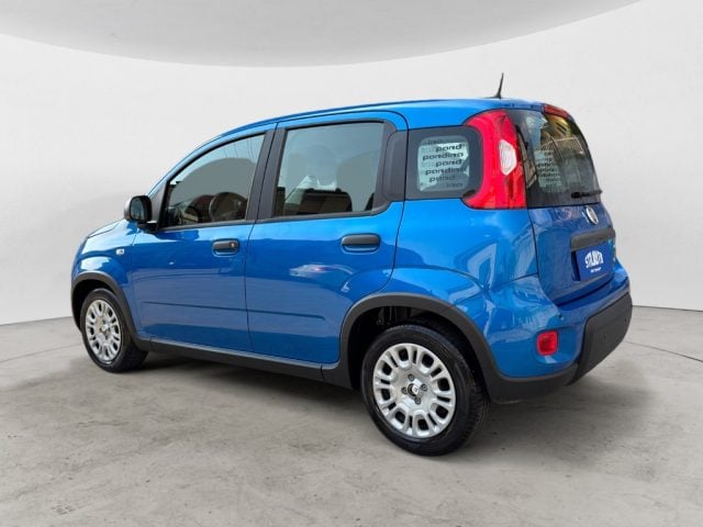 Fiat Panda 1.0 FireFly S&S Hybrid Pandina - foto 3 di 4