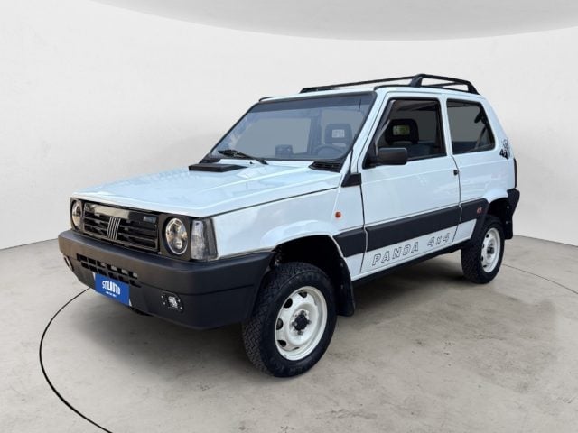 Fiat Panda 1ª serie 1000 i.e. cat 4x4 Trekking usato a CHIAMPO