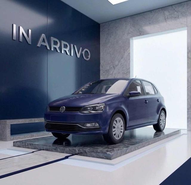 Volkswagen Polo 1.4 TDI 5p. Business usato a SATRIANO DI LUCANIA