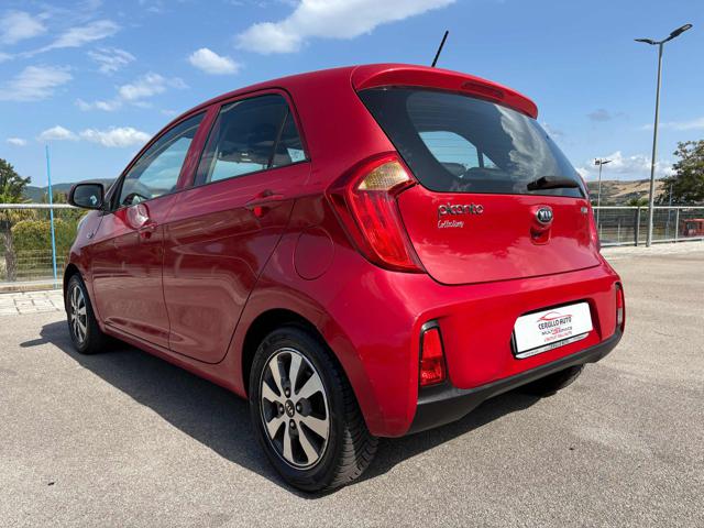 Kia Picanto 1.0 12V EcoGPL 5 porte Glam Collection - foto 4 di 4