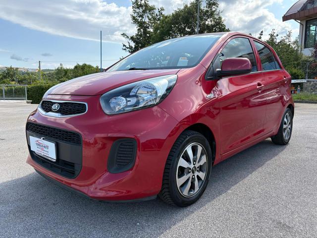Kia Picanto 1.0 12V EcoGPL 5 porte Glam Collection usato a SATRIANO DI LUCANIA