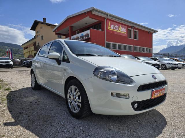 Fiat Punto 1.3 MJT II S&S 95 CV 5 porte Street usato a LAVIS