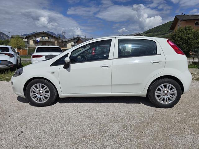 Fiat Punto 1.3 MJT II S&S 95 CV 5 porte Street - foto 3 di 4