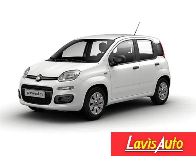 Fiat Panda 1.2 Easy usato a LAVIS