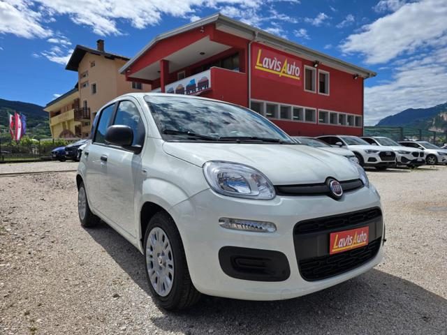 Fiat Pandina 1.0 FireFly S&S Hybrid Icon usato a LAVIS