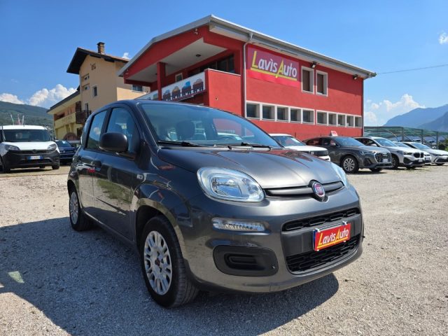 Fiat Panda 1.2 Easy usato a LAVIS