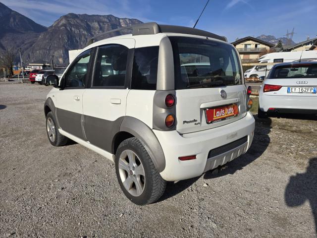 Fiat Panda 1.3 MJT 16V DPF 4x4 Cross - foto 4 di 4