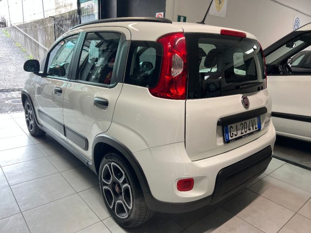 Fiat Panda 1.0 FireFly S&S Hybrid City Life - foto 4 di 4
