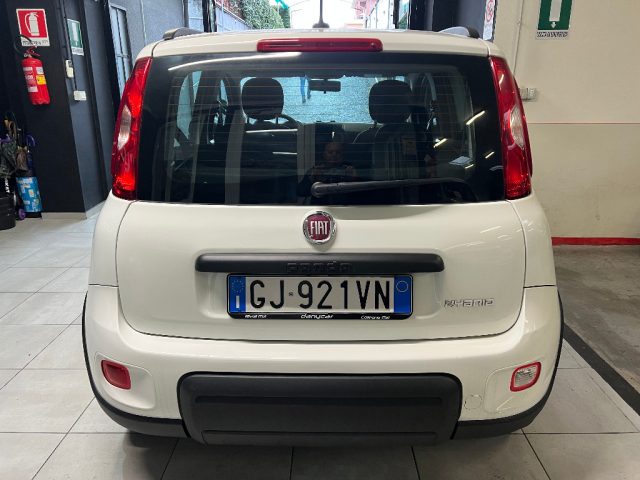 Fiat Panda 1.0 FireFly S&S Hybrid, del 2022, 44.000 km, in vendita a Collegno (TO)